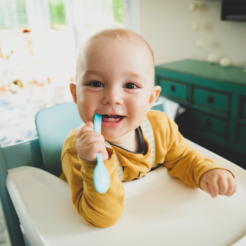 A baby, sitting in a high chair, playfully explores a spoon, revealing a few tiny teeth emerging, a milestone in their oral development.