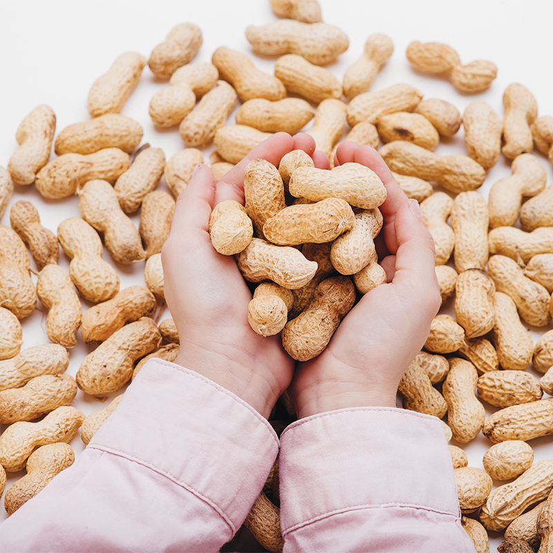 can I give my child peanuts to prevent the allergy?