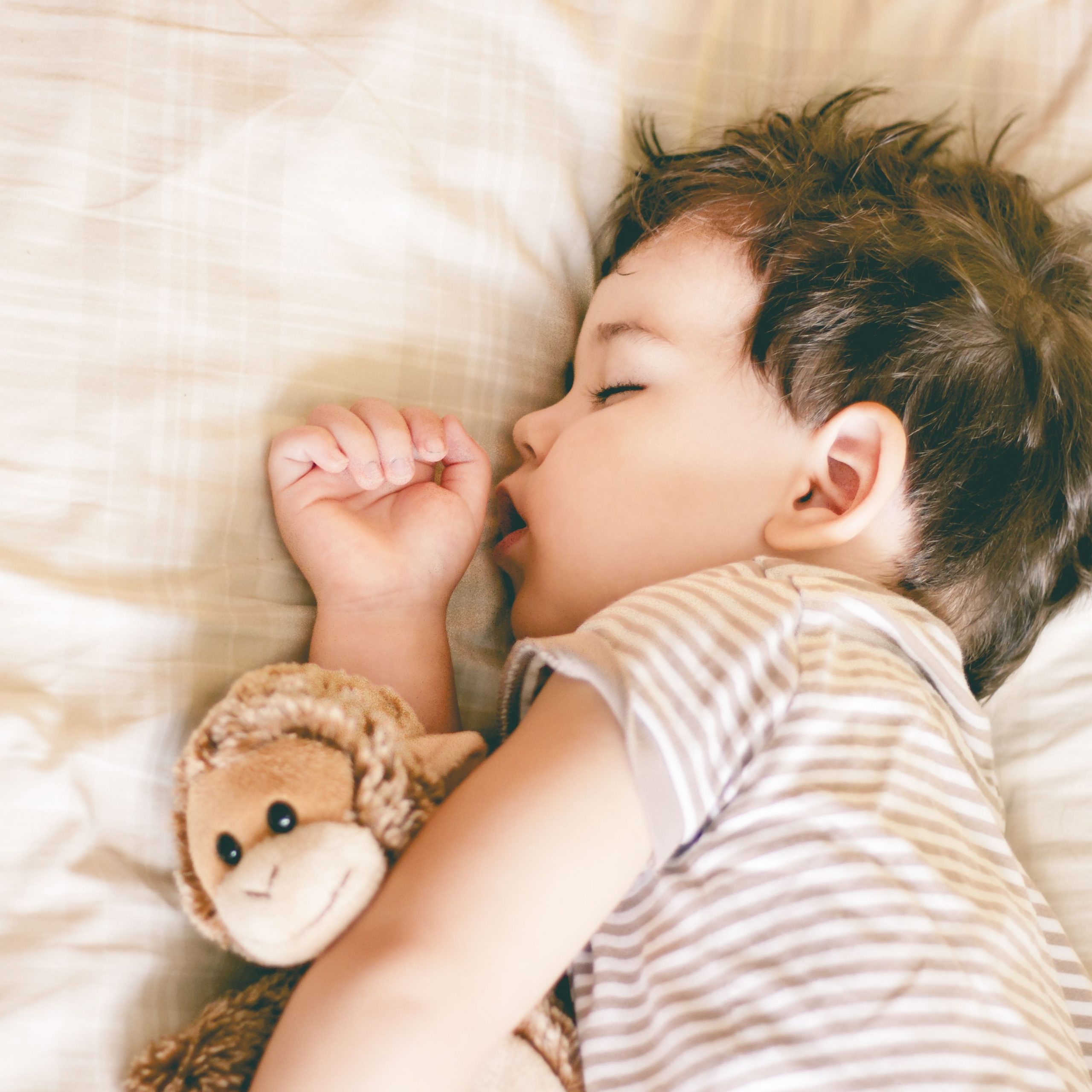 A peaceful toddler sleeps soundly, curled up in a cozy bed.