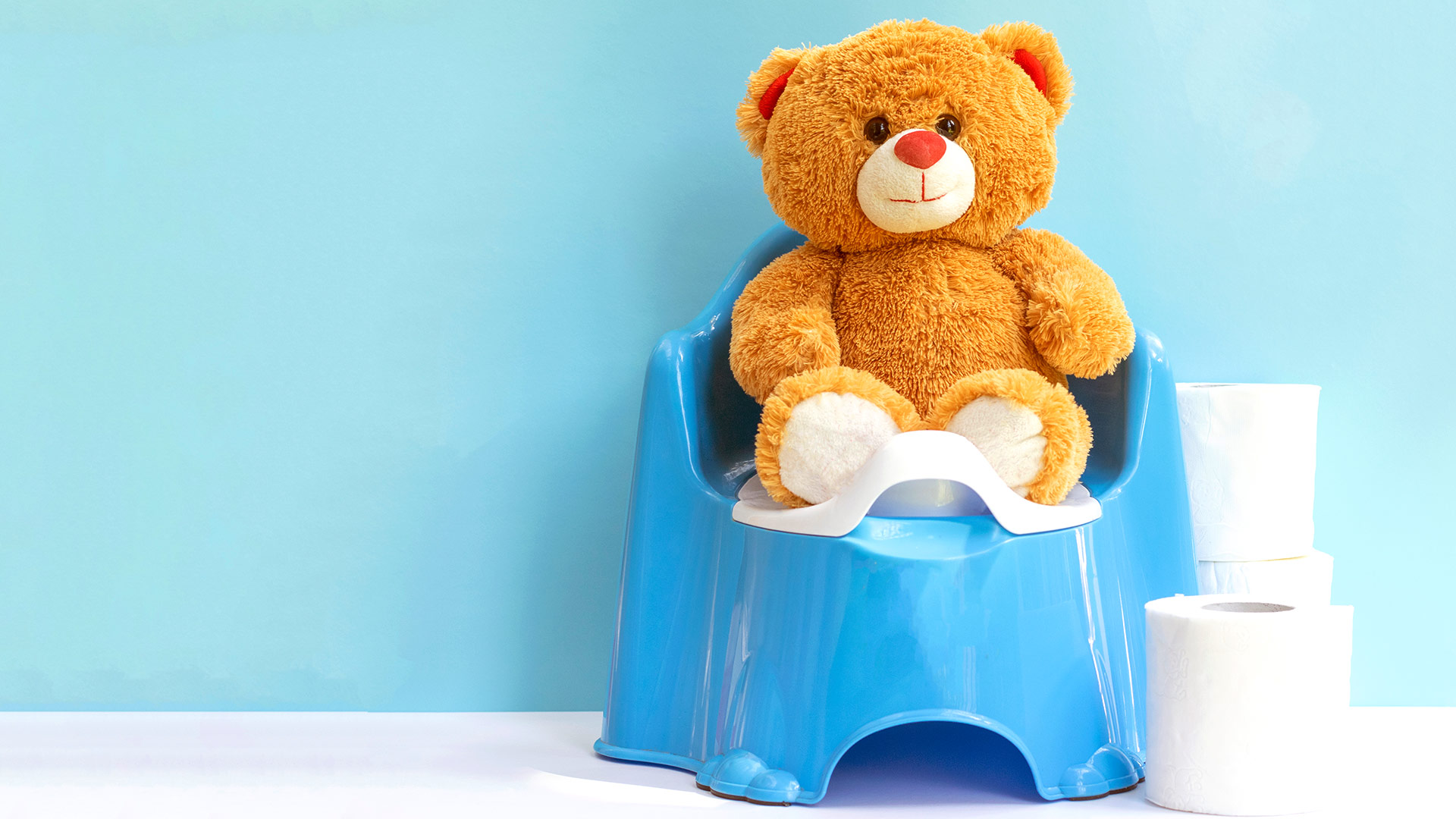 A cuddly teddy bear sits on a child-sized toilet, demonstrating proper potty training techniques in a fun and engaging way.