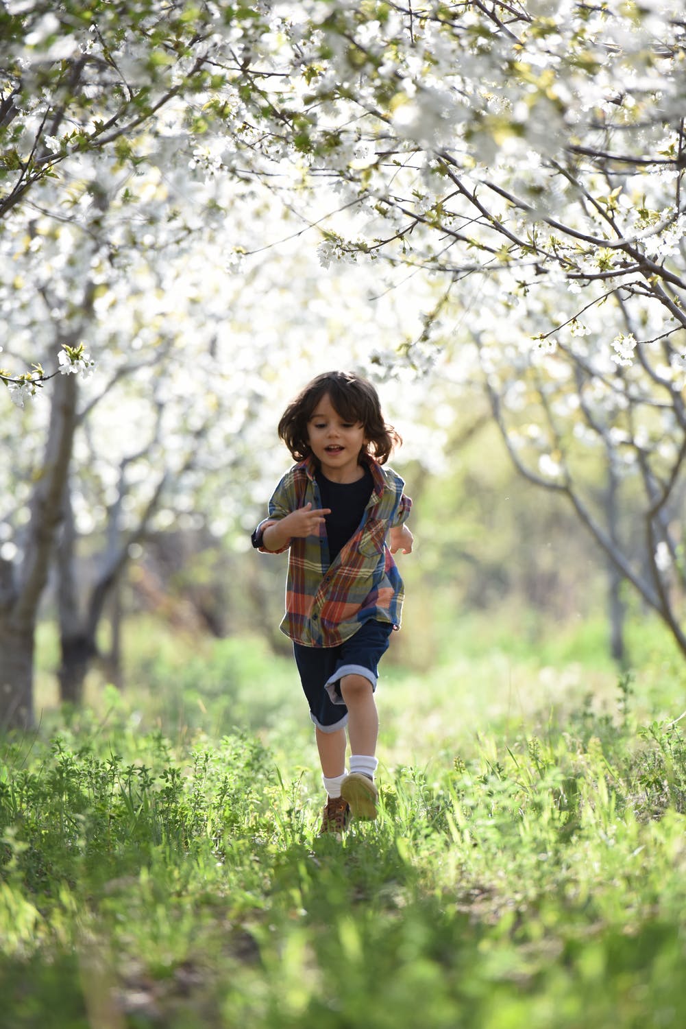 A child, unaware of the danger, runs through a patch of poison ivy, risking a painful rash.