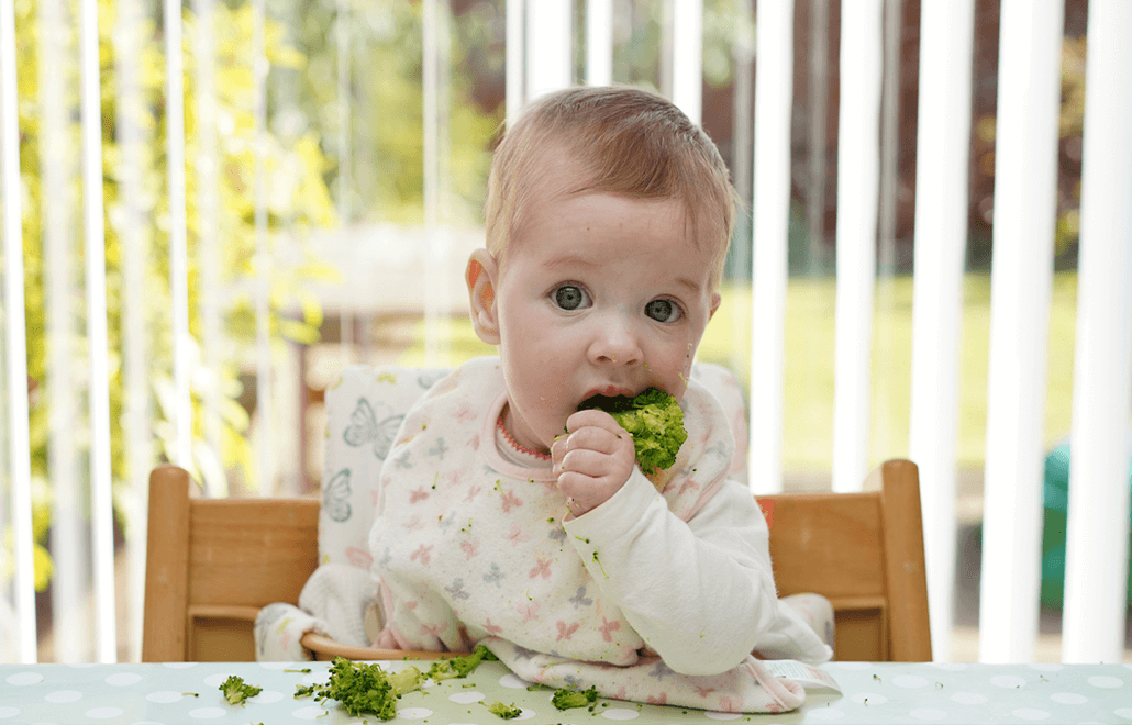 baby food, baby led weaning, puree, purees, solid food